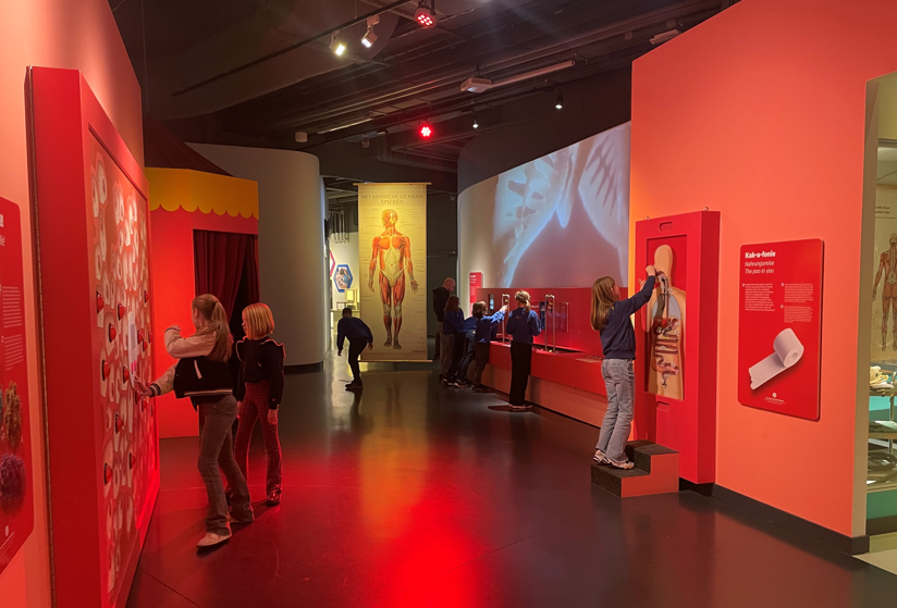 Een groep leden bekijkt alle informatie in een museum over het menselijk lichaam.